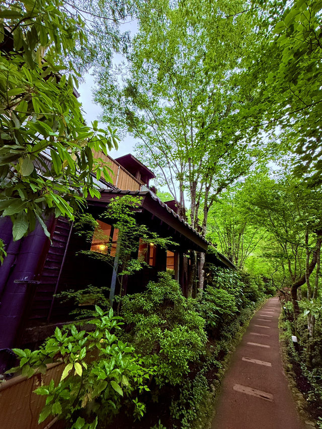 黑川奧之湯溫泉飯店