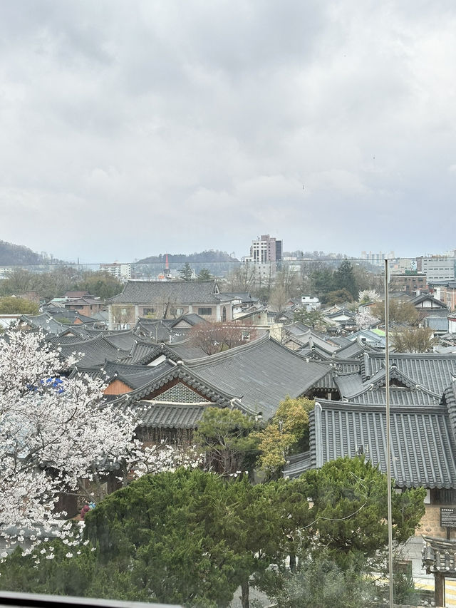 전주 여행 1박 2일 알찬 코스