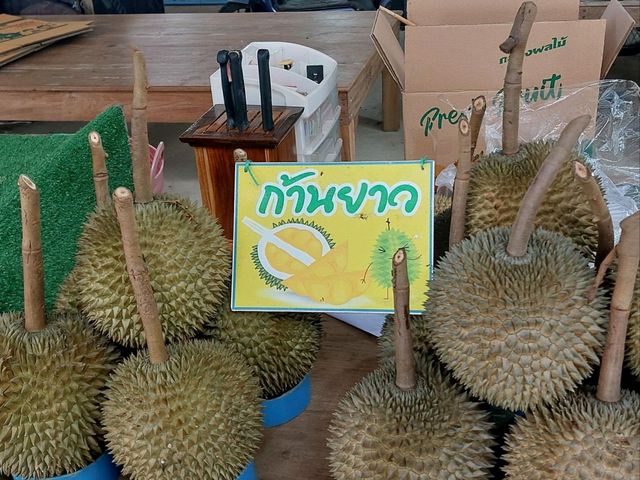 ตลาดกลางผลไม้ เมืองลับแล อุตรดิตถ์