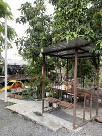 Hansa cafe คาเฟ่สุดคิ้ว