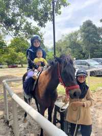 A Fun Day at ARBA Equine Archery Park – Horses, Archery & Petting Zoo!