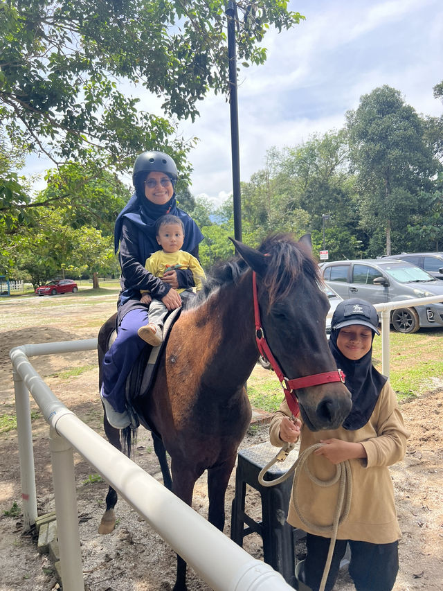 A Fun Day at ARBA Equine Archery Park – Horses, Archery & Petting Zoo!