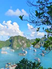 Escape Hanoi: A Magical Day Trip to Halong Bay 🛥️