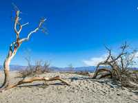 Lowest Point, Limitless Views: Exploring Badwater Basin
