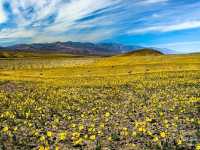 Lowest Point, Limitless Views: Exploring Badwater Basin