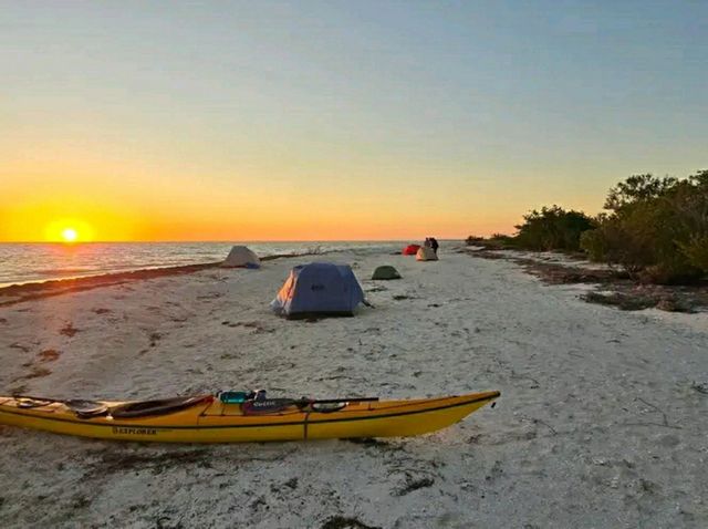 Hiking the River of Grass: Trails Through the Everglades