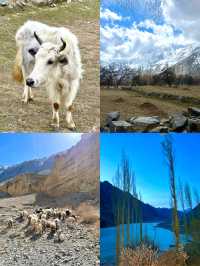 Pakistan: Untouched, Unfiltered, Unforge