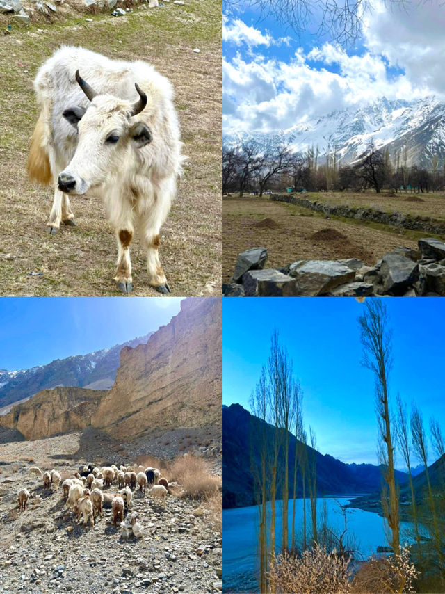 Pakistan: Untouched, Unfiltered, Unforge