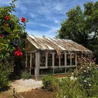 คาเฟ่สวนดอกไม้ Pranberry Field ปราณบุรี