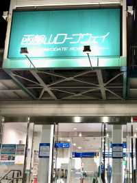 A Laid-Back Day in Hakodate – Bayside Strolls & Starry Views