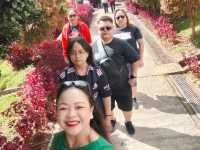 Sunny day at Desa Dairy Farm