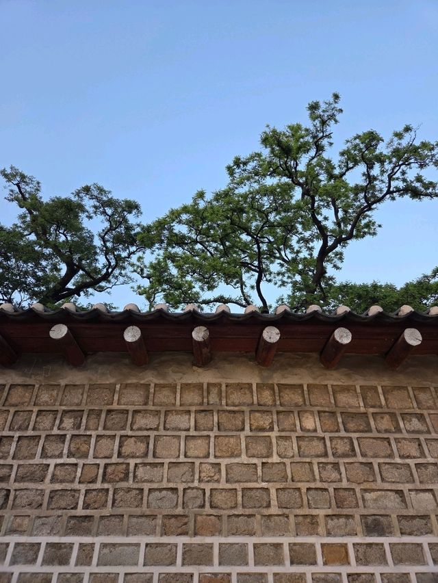 서울 창덕궁 여행