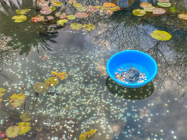 Boiling Beauty and Steamy Surprises: Exploring the Hells of Beppu