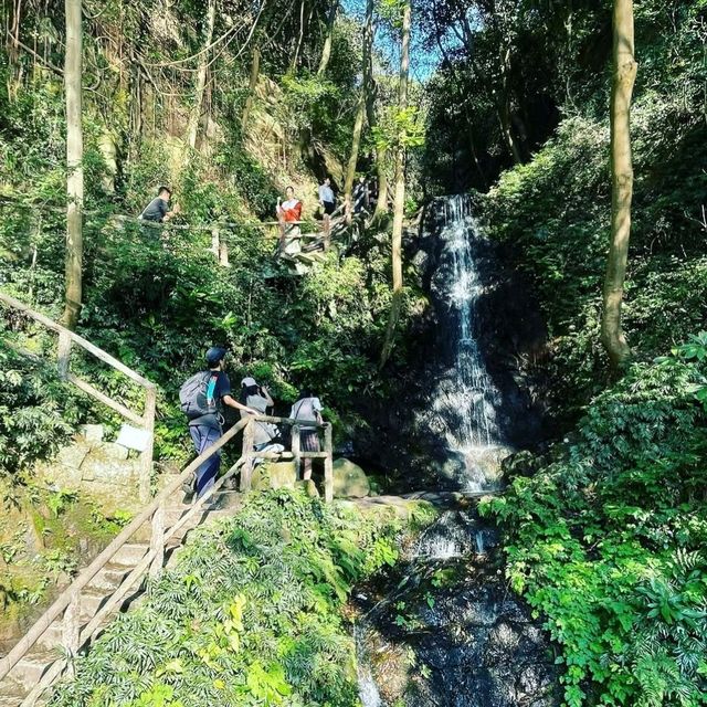 Straight-Up Storybook Vibes in Real Life