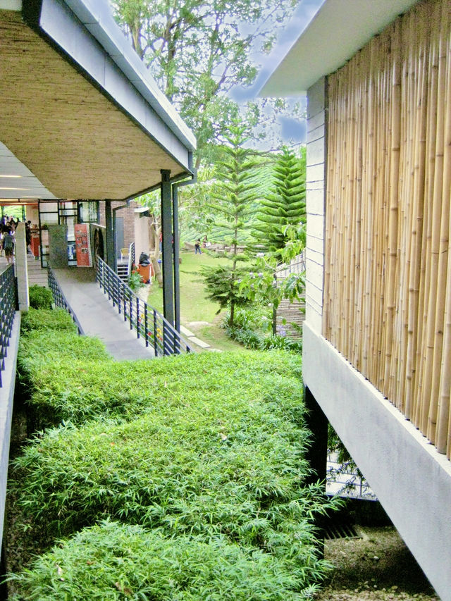 Sip History on a Hillside: Discover Malaysia’s Iconic BOH Tea Plantation