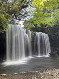【神秘のパワースポット】裏側から見る神秘の滝体験🏞️💧✨