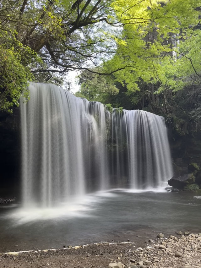 【神秘のパワースポット】裏側から見る神秘の滝体験🏞️💧✨