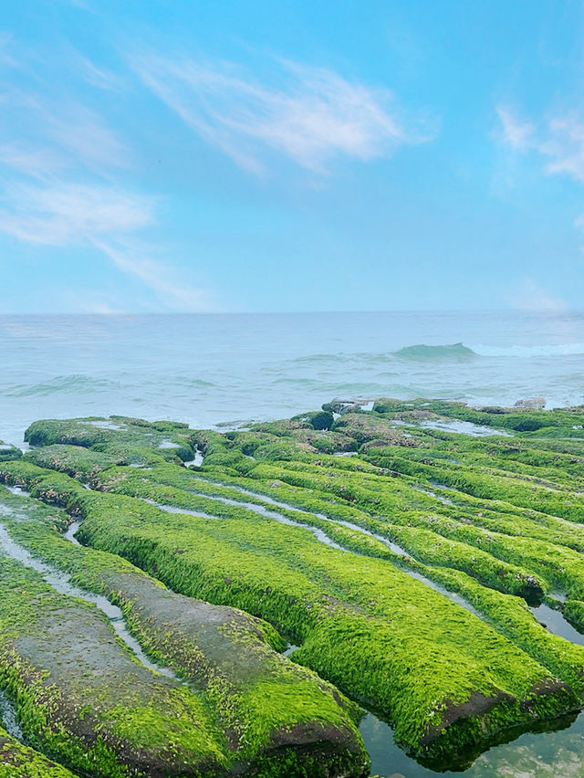 🌾北海岸最美療癒秘境！從外木山芒花海走到老梅石槽，看見海浪洗滌的心✨🌊