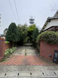 【大分グルメ】住宅街の中に木に囲まれた素敵なカフェ🌳