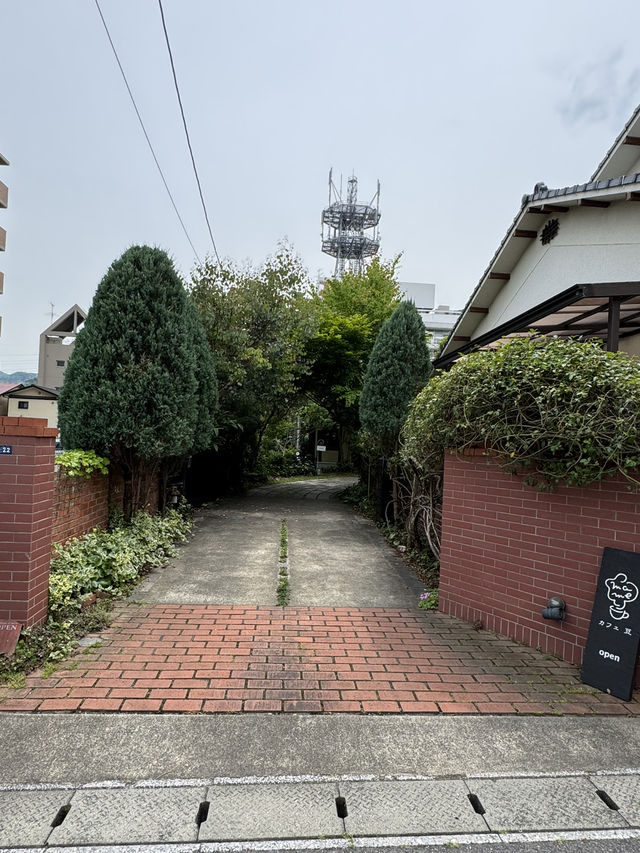 【大分グルメ】住宅街の中に木に囲まれた素敵なカフェ🌳