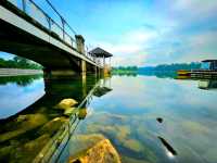 Peaceful Family Day at Lower Peirce Reservoir