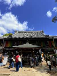 大阪｜到葛井寺看紫藤白藤 1300年11面千手觀音神像近距離參拜