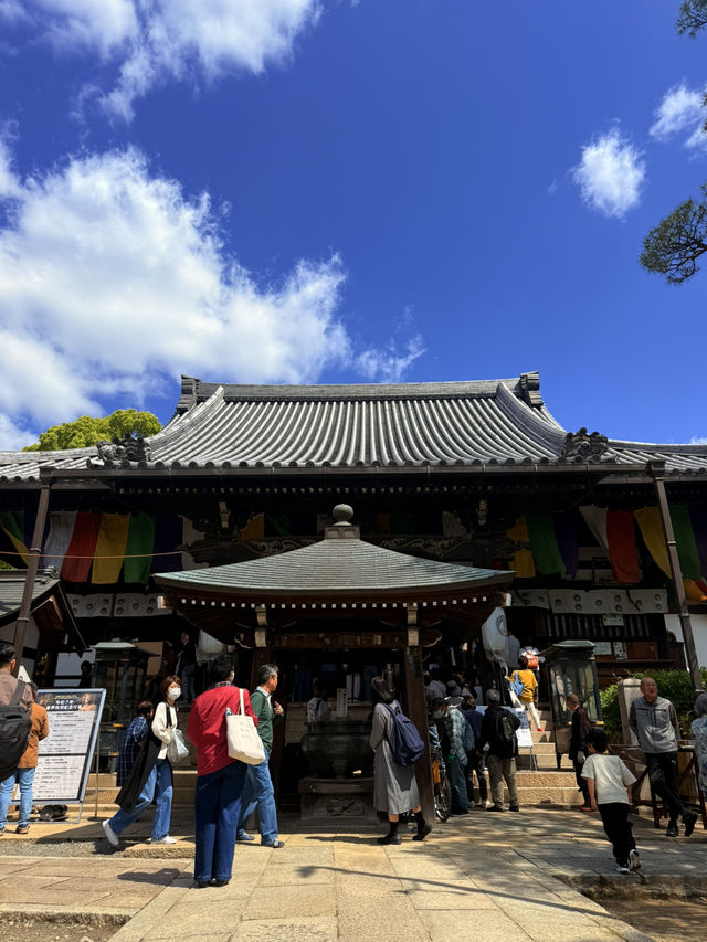 大阪｜到葛井寺看紫藤白藤 1300年11面千手觀音神像近距離參拜