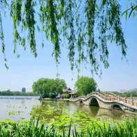 潮州西湖 x 風景如畫