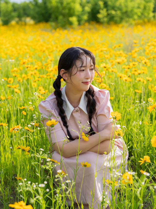 금계국 명소 경북 구미시 낙동강체육공원