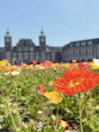 A Day to Enjoy Flowers in Kobe 🌸