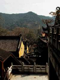 Faxi Temple - 法喜寺สักการะขอพรที่วัดฝาซี