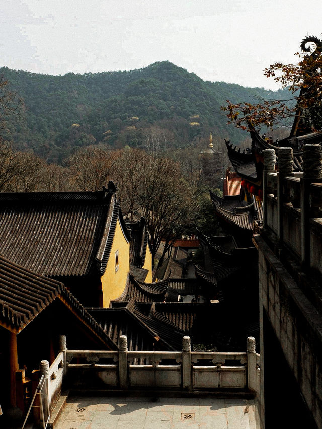 Faxi Temple - 法喜寺สักการะขอพรที่วัดฝาซี