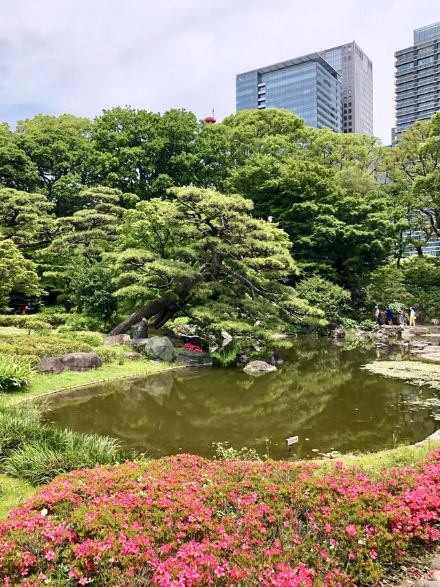 A Relaxing Day Around the Imperial Palace 👑🌿