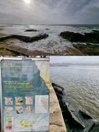 🇵🇹 Geological Walk 📍Foz do Douro