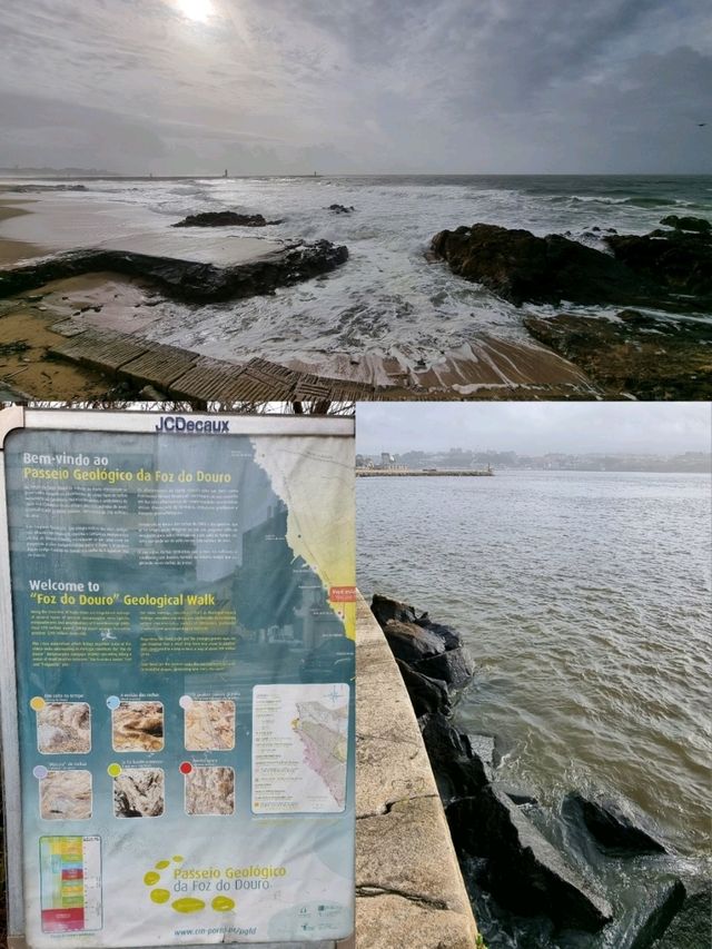 🇵🇹 Geological Walk 📍Foz do Douro
