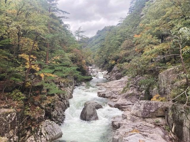 Nature Escape