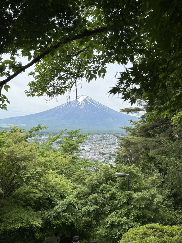 Fuji Day Trip booked on Trip.com!