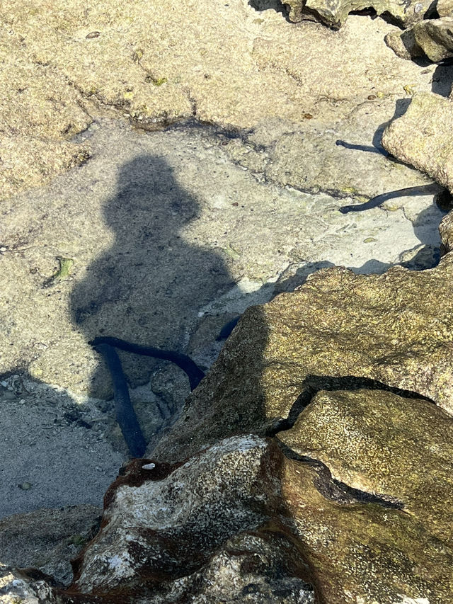 法屬太平洋島國新喀里多尼亞🇳🇨