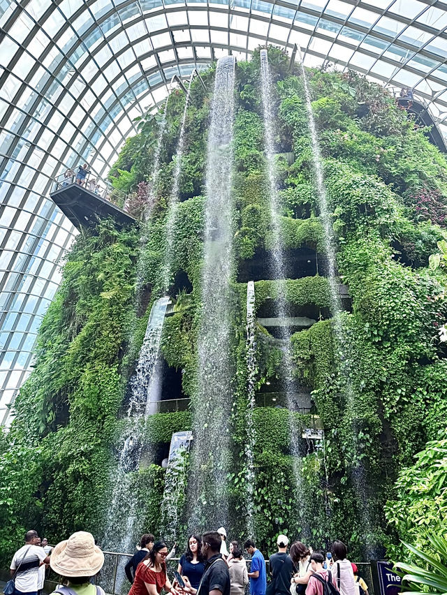 สิงคโปร์🇸🇬