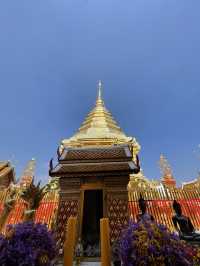 【タイ】チェンマイで必ず訪れたい寺院🛕