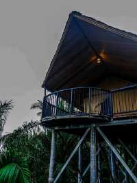khaosok boutique camps สุราษฎร์ธานี