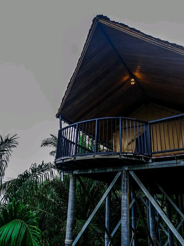 khaosok boutique camps สุราษฎร์ธานี