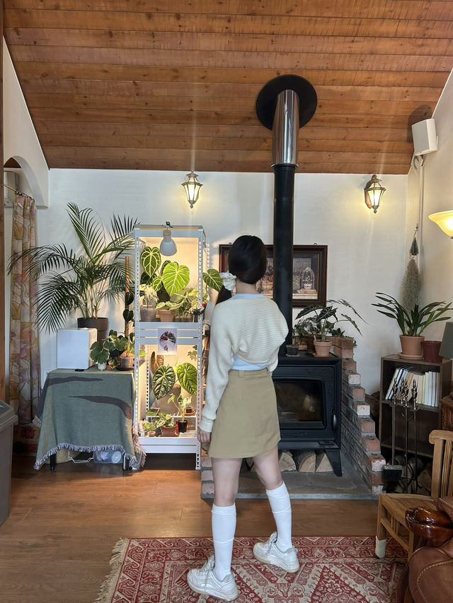 ️ 낭만적인 정원 옆 휴식, 멜로우데이즈🤍☕️