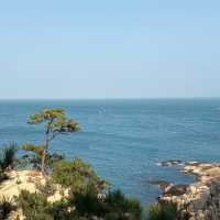 🇰🇷 Hidden Gem in Korea | Ulsan Healing Escape