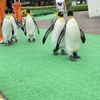 水族館も遊園地も両方楽しめる❣️王道観光スポット
