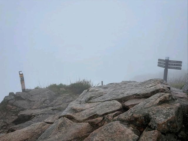 Misty Mountain Magic at Wolchulsan