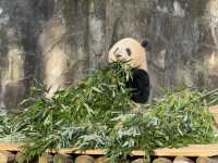 性價比超高的動物園