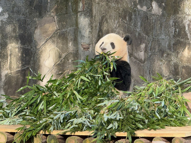 性價比超高的動物園