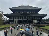 東大寺：在奈良探訪千年古寺，感受佛教文化的莊嚴與美麗！
