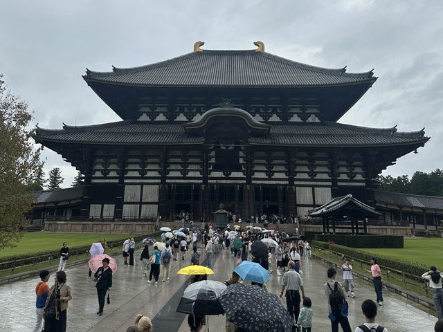 東大寺：在奈良探訪千年古寺，感受佛教文化的莊嚴與美麗！
